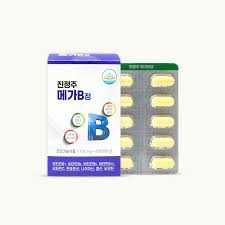 진정주 메가B정