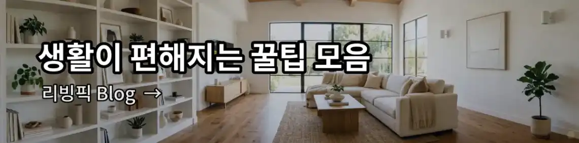 생활이 편해지는 꿀팁 모음, 일상 속에서 유용한 정보와 아이디어를 제공하는 블로그입니다. 바로가기