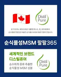 순식물성 MSM 팔팔365