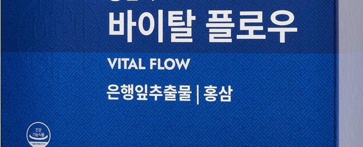 바이탈 플로우