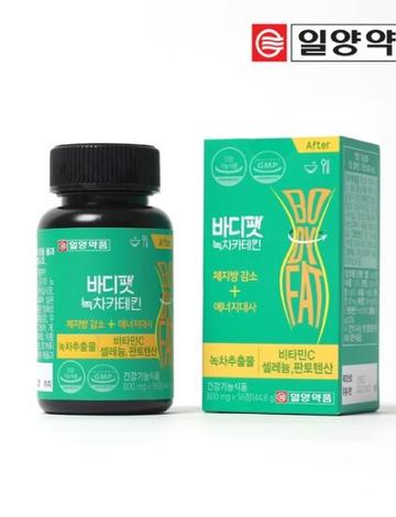 체지방 감소 녹차카테킨