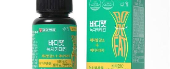 체지방 감소 녹차카테킨