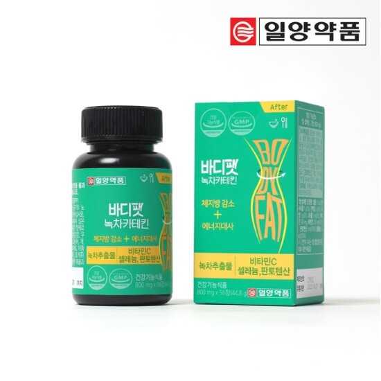 체지방 감소 녹차카테킨