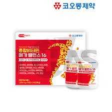 종합비타민 메가 밸런스 16