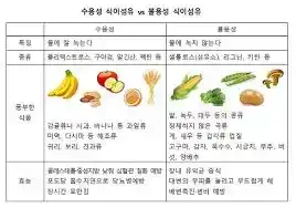 식이섬유
