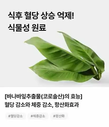 바나바잎추출물