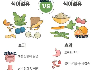 식이섬유