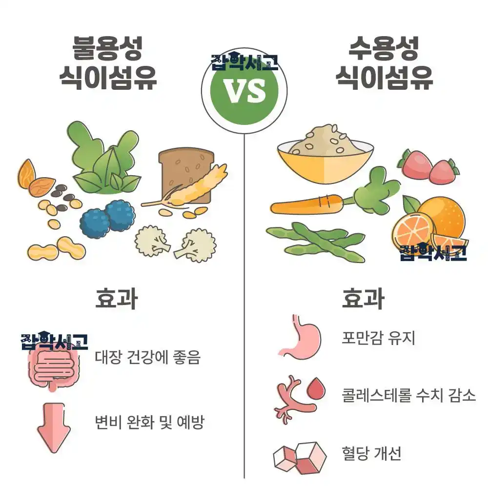 식이섬유