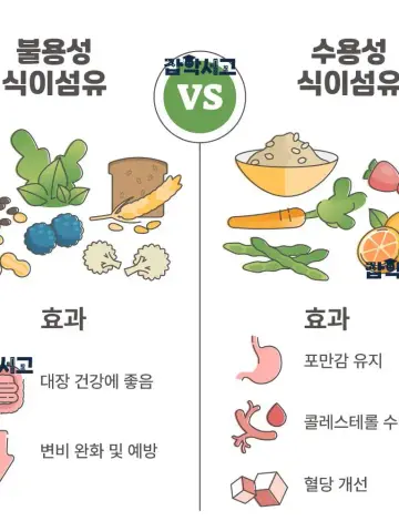 식이섬유