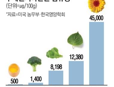 마리골드꽃추출물(지아잔틴함유)