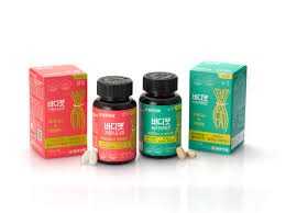 체지방 감소 녹차카테킨