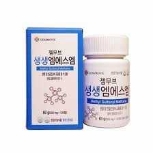 엠에스엠 정
