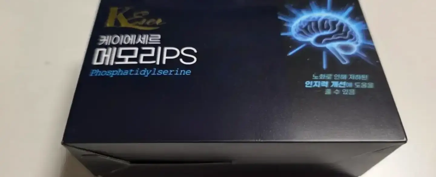 케이에세르 메모리PS