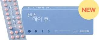 데이정