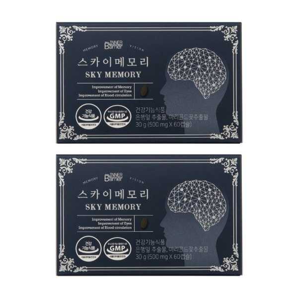 스카이메모리