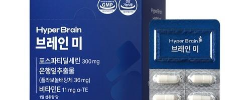 브레인 미