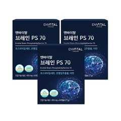 엔바이탈 브레인 PS 70
