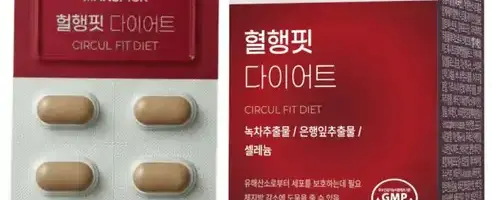 혈행핏 다이어트