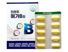 진정주 메가B정