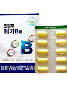 진정주 메가B정