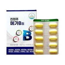 진정주 메가B정