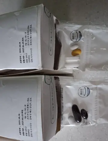 뼈로 가는 K2