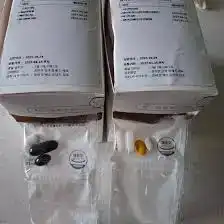 뼈로 가는 K2