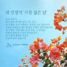 내인생의젊은날